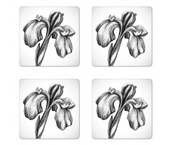 Dotwork Style Lily Bloom Coaster Set Of Four