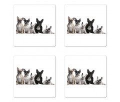 Young Doggies Photo Coaster Set Of Four