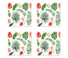 Lush Jungle Rainforest Coaster Set Of Four