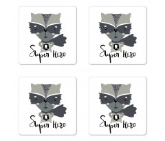 Super Hero Raccoon Coaster Set Of Four