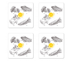 Organic Farm Coaster Set Of Four