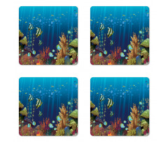 Coral Reef Fishes Coaster Set Of Four