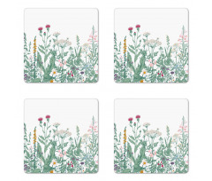 Cow Parsley Musk Mallow Coaster Set Of Four
