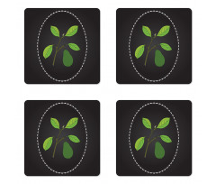 Alligator Pear Tree Coaster Set Of Four