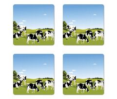 Graphic Domestic Cows Coaster Set Of Four