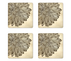 Vintage Blossom Grunge Coaster Set Of Four