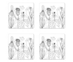 Medical Herbs Pattern Coaster Set Of Four