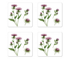 Healing Herbs Concept Coaster Set Of Four