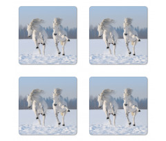 Purebred Horses Wild Coaster Set Of Four