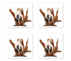 Funny Playful Puppy Image Coaster Set Of Four