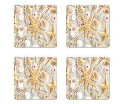 Assorted Seashells Sand Beach Coaster Set Of Four