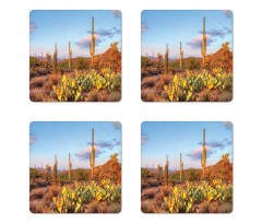 Cacti in Sonoran Desert Coaster Set Of Four