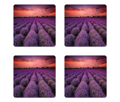 Lavender Field Sunset Coaster Set Of Four