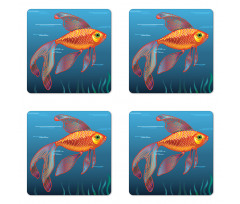 Aquarium Fishes in Water Coaster Set Of Four