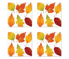 Realistic Dried Leaves Falling Coaster Set Of Four