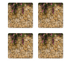 Blooming Bauhinia Orchid Coaster Set Of Four