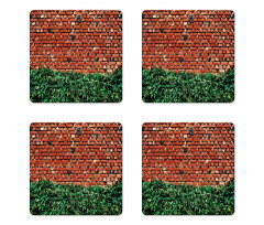 Wall with Green Leaves Coaster Set Of Four