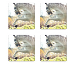 Horse on a Blurry Back Coaster Set Of Four