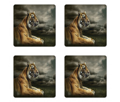 Jungle African Cat Clouds Coaster Set Of Four