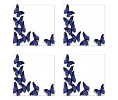 European Union Butterflies Coaster Set Of Four