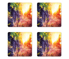 Grape in Countryside Vineyard Coaster Set Of Four