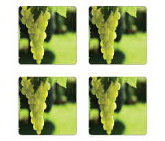 Bunch of Fruits Hanging Photo Coaster Set Of Four