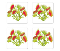 Bouquet of Venus Flytrap Coaster Set Of Four