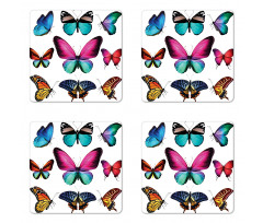 Vibrant Butterflies Set Coaster Set Of Four