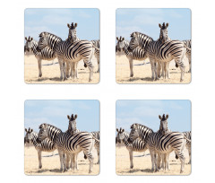 Namibia Africa Safari Coaster Set Of Four