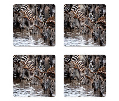 Zebra Wildebeest Herd Coaster Set Of Four