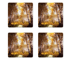 Autumn Birch Trees River Coaster Set Of Four