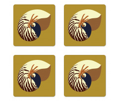 Nautilus Shell Underwater Coaster Set Of Four