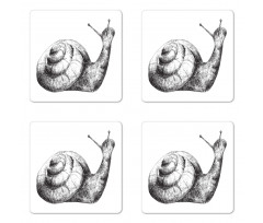 Hand Drawn Slug Sketch Design Coaster Set Of Four