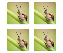 Garden Animal on Stem Plant Coaster Set Of Four