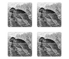 Hand Drawn Sea Cow Design Coaster Set Of Four