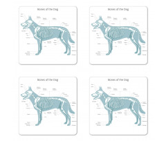 Bones of the Dog Table Coaster Set Of Four