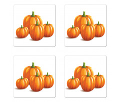 Fall Season Fruits Coaster Set Of Four