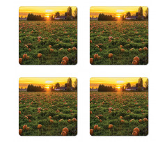 Fall Patch at Sunset Coaster Set Of Four