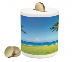 Coconut Palm Hawaii Piggy Bank