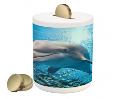 Dolphin in Ocean Marine Piggy Bank