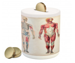 Anatomy Human Body Piggy Bank