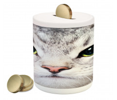 Face of a Domestic Kitty Piggy Bank