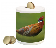 Pheasant Long Tail Meadow Piggy Bank