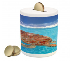 Chelonia Water Surface Piggy Bank