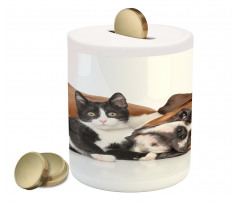 Cat Dog Friendship Piggy Bank