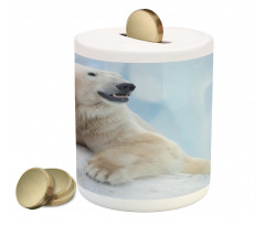 White Polar Bear on Ice Piggy Bank