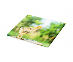 Little Baby Chicken on Log Cutting Board