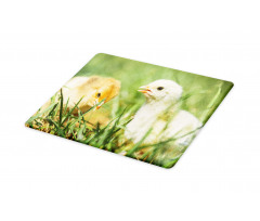 Close up Photo Baby Chickens Cutting Board