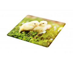 Baby Chickens Photo Cutting Board