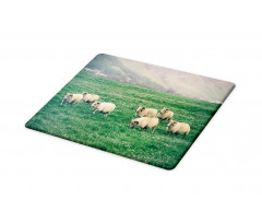 Sheep Grazing on Grass Cutting Board